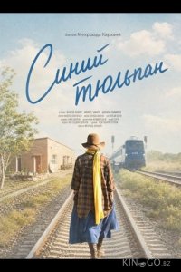 Синий тюльпан 