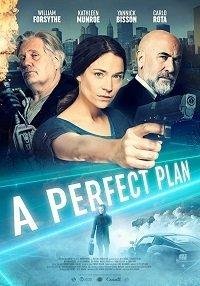 Идеальный план 
