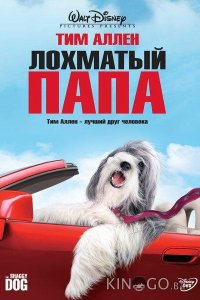Лохматый папа 