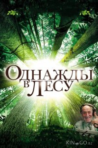 Однажды в лесу 