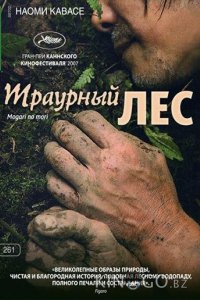 Траурный лес 