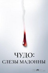 Чудо: Слезы Мадонны 1 8