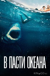 В пасти океана 
