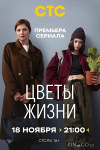 Цветы жизни 1 8