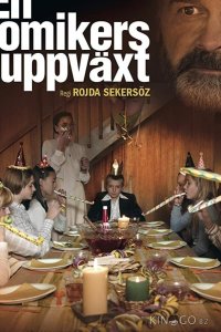Моя жизнь в качестве комика 