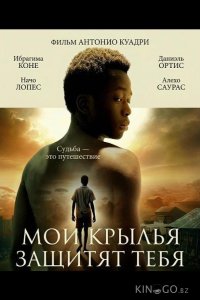 Мои крылья защитят тебя 