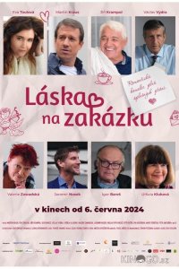 Любовь на заказ 