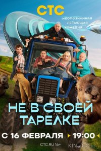Не в своей тарелке 1 17
