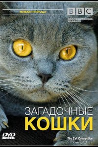BBC: Загадочные кошки 