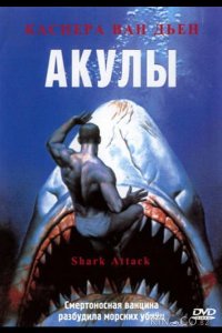 Акулы 