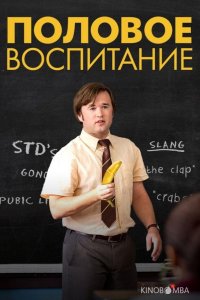 Половое воспитание 