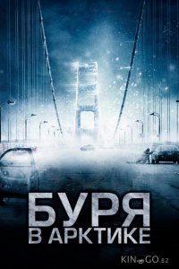 Буря в Арктике 