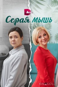 Серая мышь 1 4