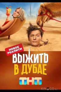 Выжить в Дубае 2 14
