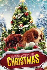 Project: Puppies for Christmas 