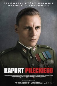 Отчёт Пилецкого 
