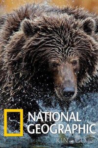 National Geographic. Империя гризли 