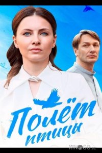 Полёт птицы 1 4