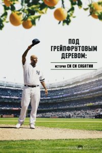 Под грейпфрутовым деревом: История Си Си Сабатии 