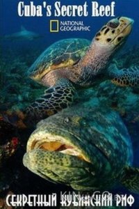 National Geographic. Секретный кубинский риф 