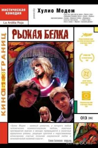 Рыжая белка 