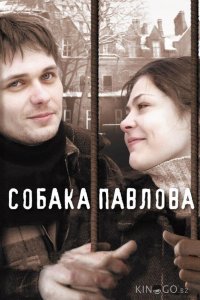 Собака Павлова 