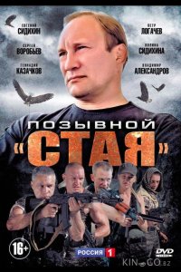 Позывной Стая 2 11-12