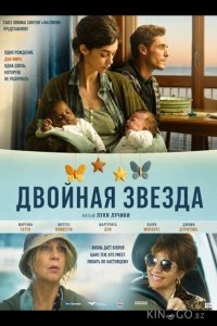 Двойная звезда 