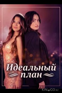 Идеальный план 