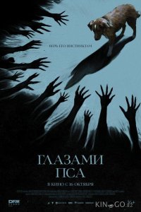 Глазами пса 