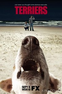 Терьеры 1 13