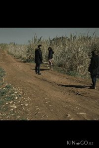 День, когда я потерял свою тень 