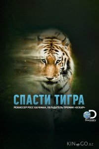 Animal Planet: Спасти тигра 