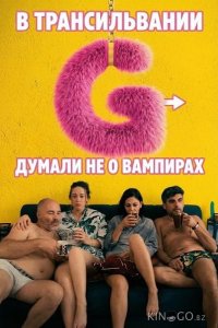 В Трансильвании думали не о вампирах 