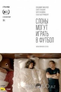 Слоны могут играть в футбол 