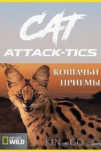 Кошачьи приемы 