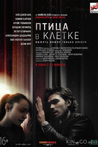 Птица в клетке 