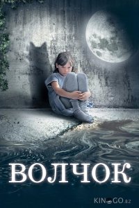 Волчок 