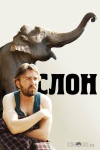 Слон 