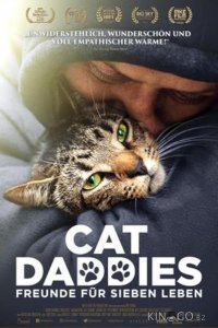 Котики 