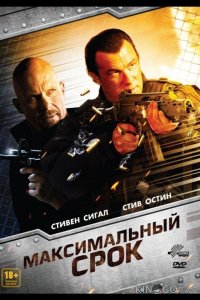 Максимальный срок 