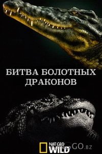 National Geographic: Битва болотных драконов 