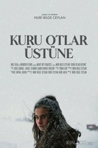 О сухой траве 