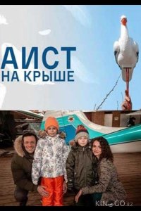 Аист на крыше 1 4