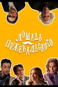 Лошадь Пржевальского 1 8