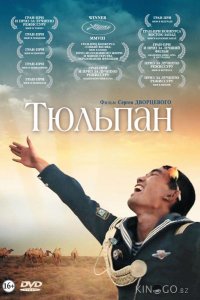 Тюльпан 