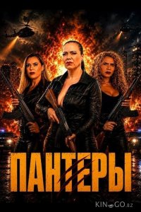 Пантеры 