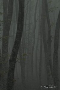 Убежище 2: ледяная тропа 