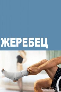 Жеребец 3 10