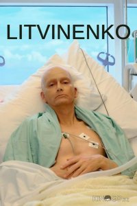 Литвиненко 1 4